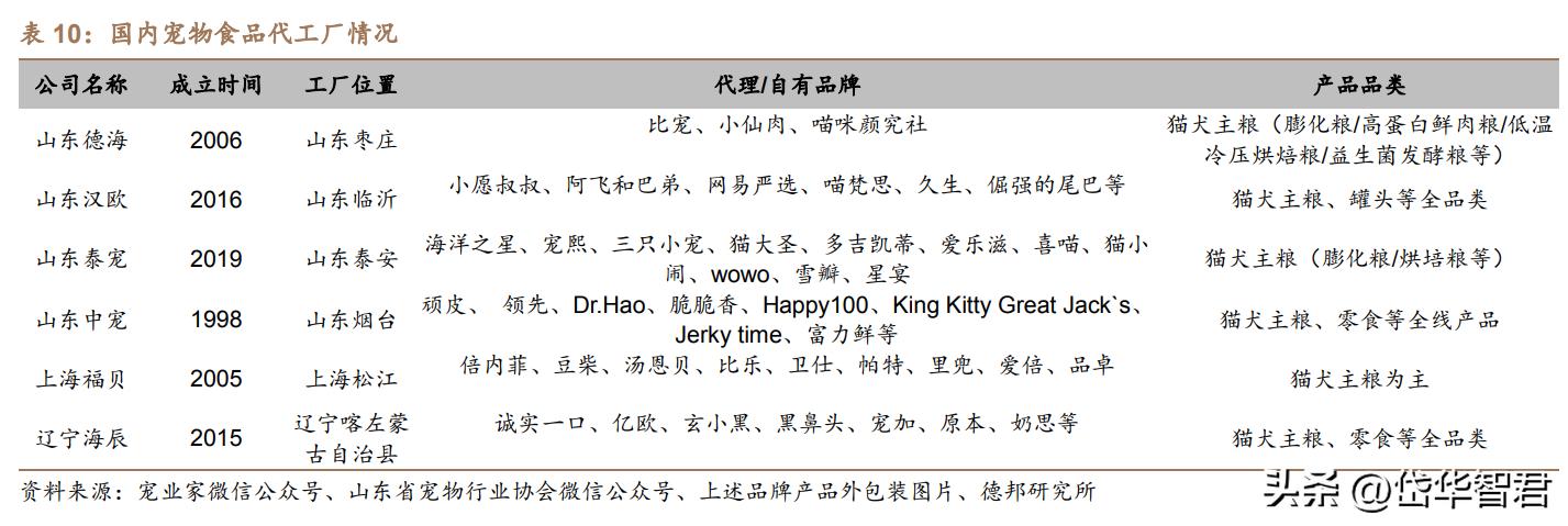 寵物上市公司，愛的力量引領(lǐng)行業(yè)，溫暖人心之旅