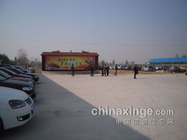 河南紅鼎公棚最新公告，自然美景探索之旅邀請啟動
