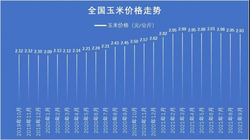 科技助力洞悉玉米未來市場趨勢，今年玉米價格行情分析預(yù)測