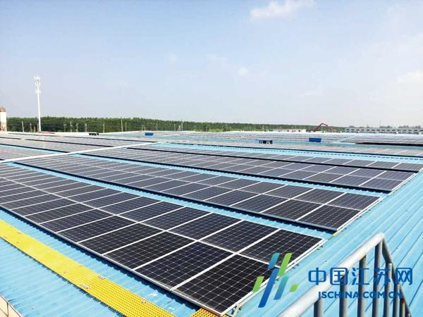 射陽最新招標信息全面概覽