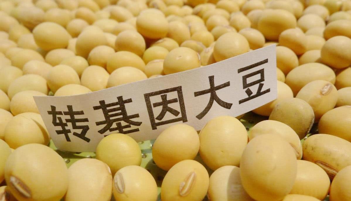 今日大豆油價(jià)格動(dòng)態(tài)更新，最新行情一目了然??