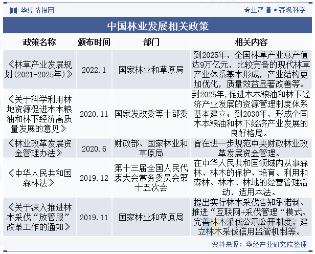 林業(yè)政策最新動態(tài)解讀，發(fā)展資訊速遞與深度剖析