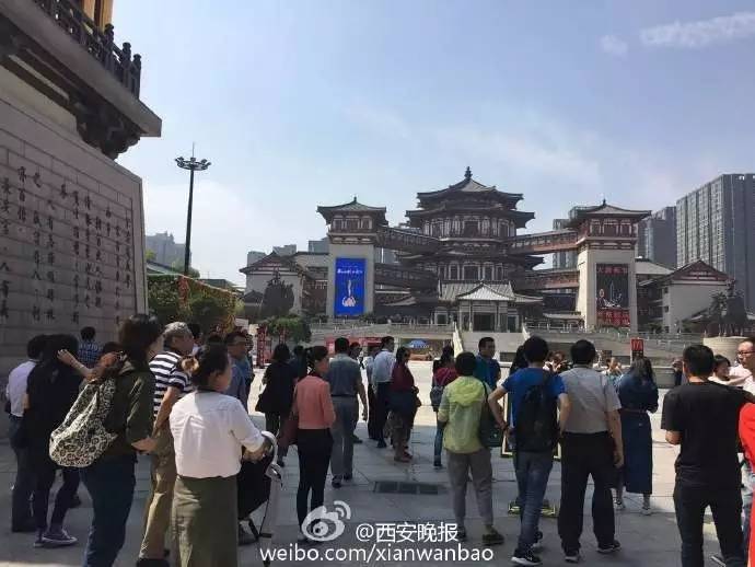 大唐西市最新動(dòng)態(tài)，自然美景探尋之旅