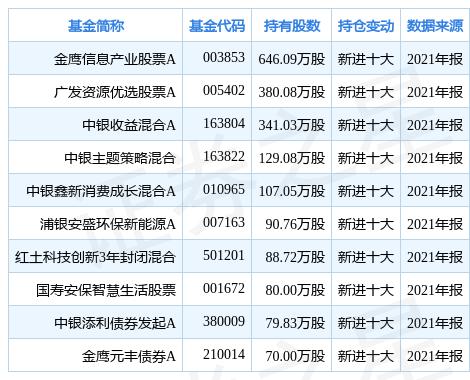 橫店東磁股票最新動態(tài)更新，最新消息與走勢分析