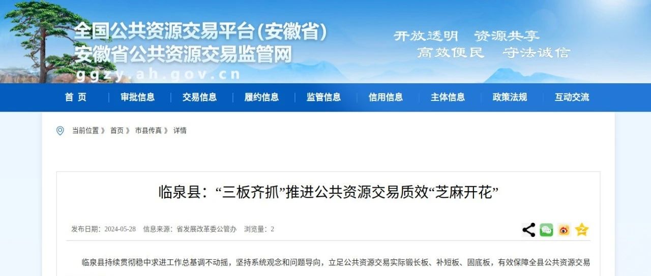 臨泉人民政府網(wǎng)最新動(dòng)態(tài)，引領(lǐng)城市發(fā)展的前沿信息速遞