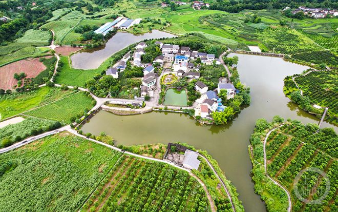 墊江白家最新動(dòng)態(tài)更新，最新消息匯總