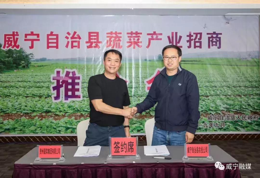威寧雙龍鎮(zhèn)最新動(dòng)態(tài)，小巷深處的獨(dú)特風(fēng)味