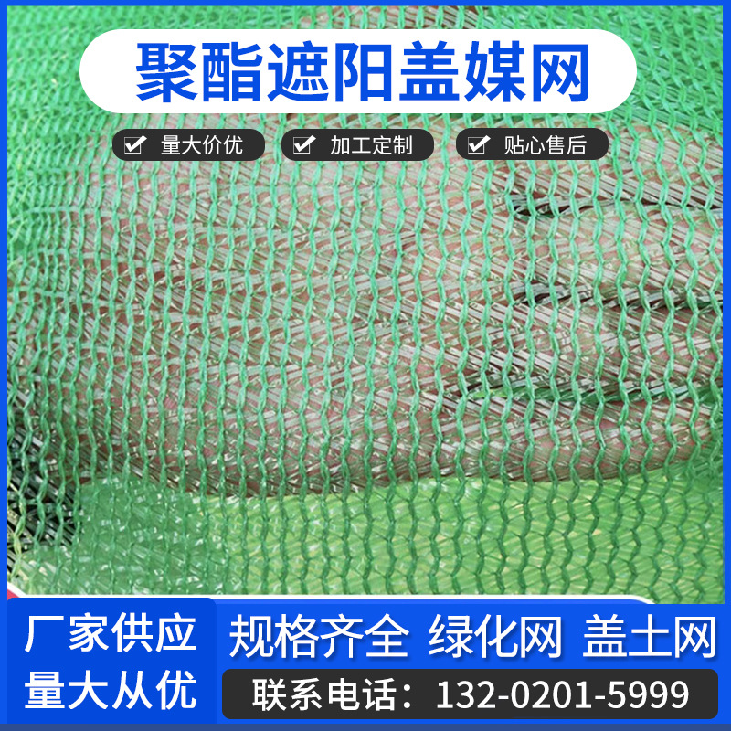 蓋網(wǎng)最新動態(tài)揭秘，一場溫馨的冒險之旅