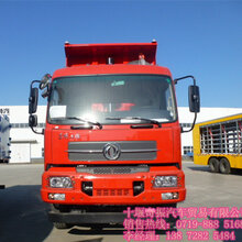 最新款輕量化貨車價(jià)格，路上的伙伴與溫情陪伴