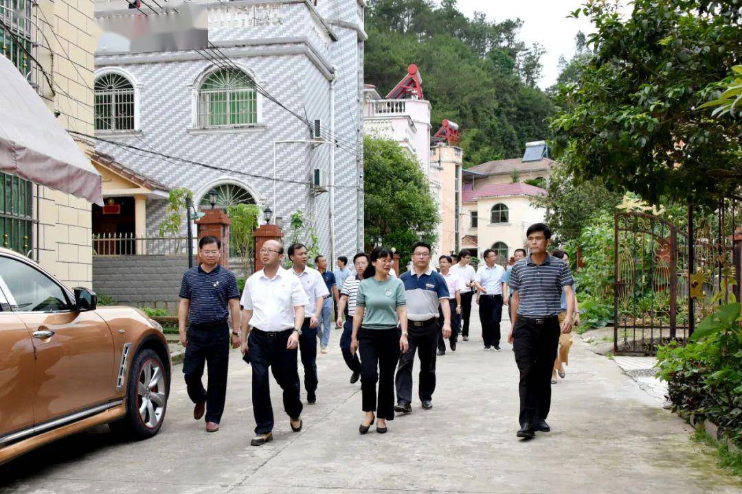 定南徐美清最新動(dòng)態(tài)，自然美景探索之旅，尋找內(nèi)心平和與喜悅的旅程