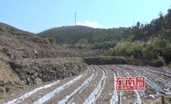 莆田坪洋村新貌，變化中的村莊，自信與成就感的源泉最新消息