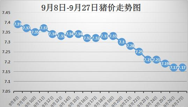 甘肅豬價最新動態(tài)，興旺豬事，溫暖人心