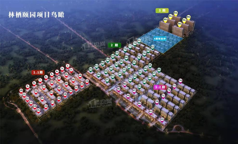 永清森林家園最新動態(tài)揭秘，森林中的日常趣事一網(wǎng)打盡！