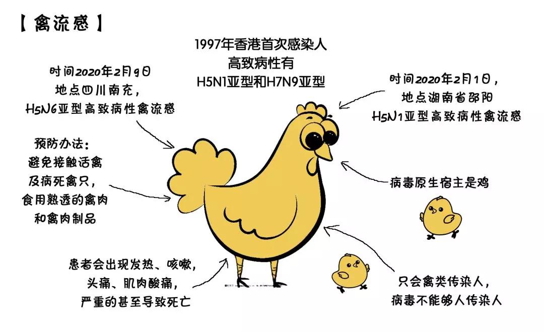 豬禽流感最新消息，2025年動態(tài)報告
